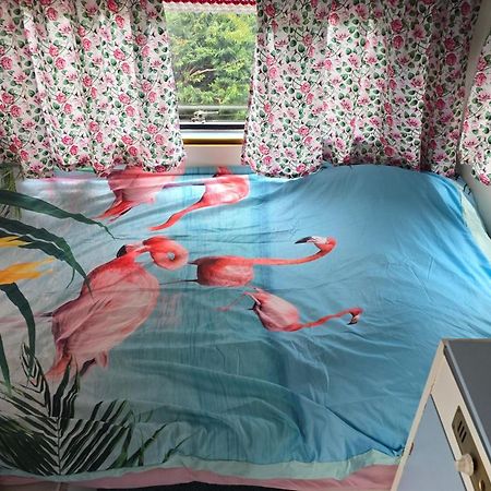 Balistyle Guesthouse Incl Hottub Near Amsterdam And Haarlem Velsen-Zuid Exterior foto