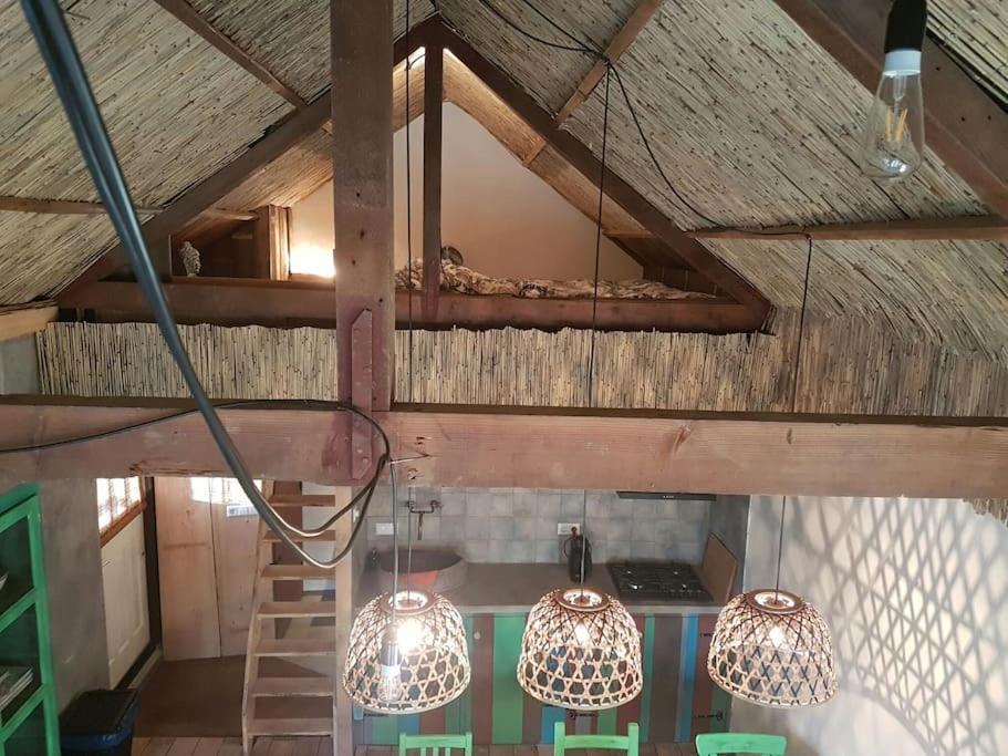 Balistyle Guesthouse Incl Hottub Near Amsterdam And Haarlem Velsen-Zuid Exterior foto